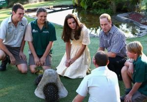 Kate and William watched two echidnas feeding from a replica termite mound.jpg